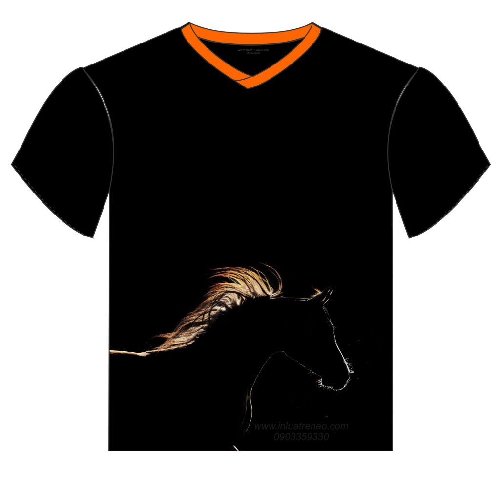 THIET KE IN AO house