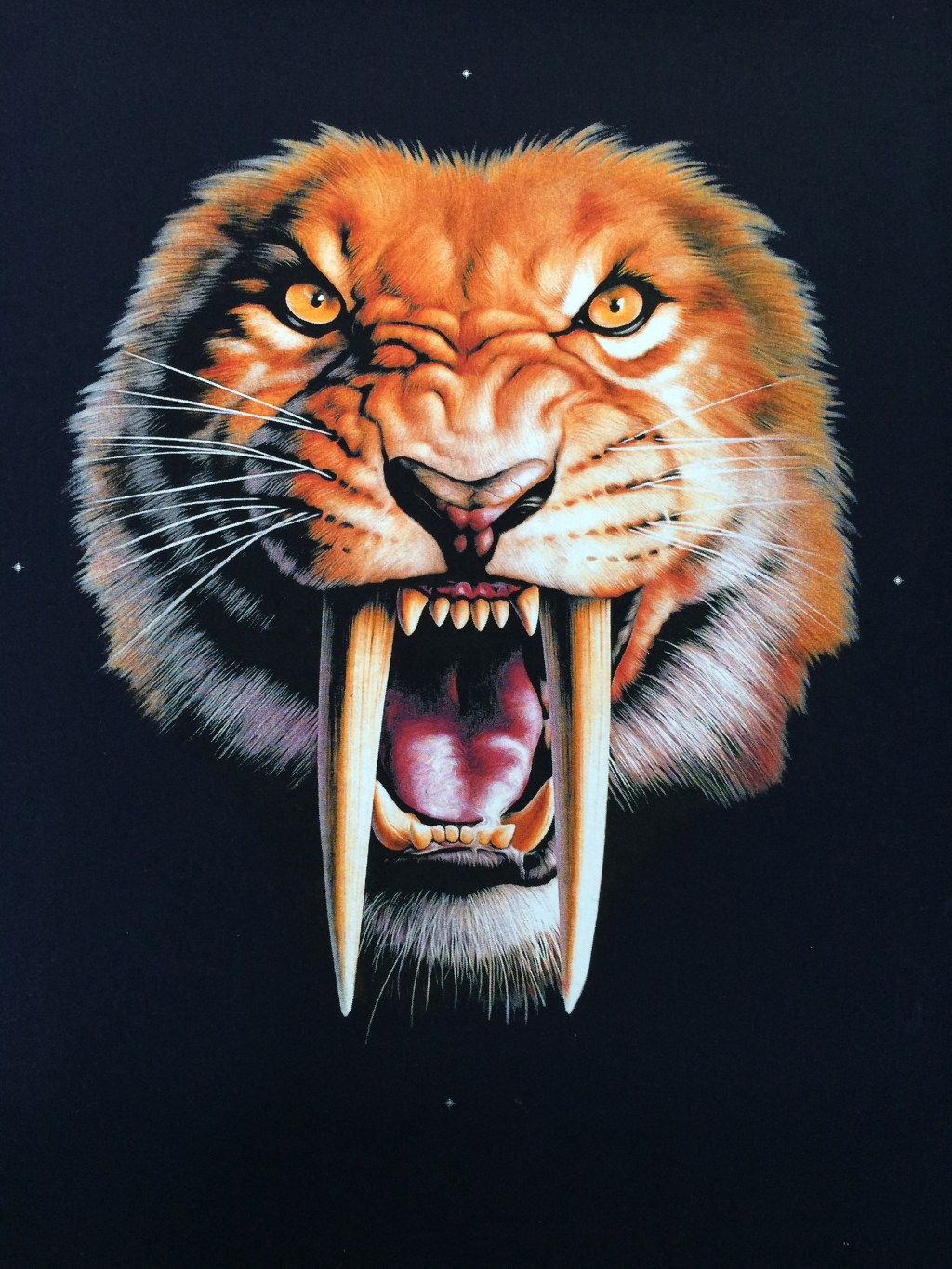 IN HÌNH 3D TRÊN VẢI&nbsp;ĐEN